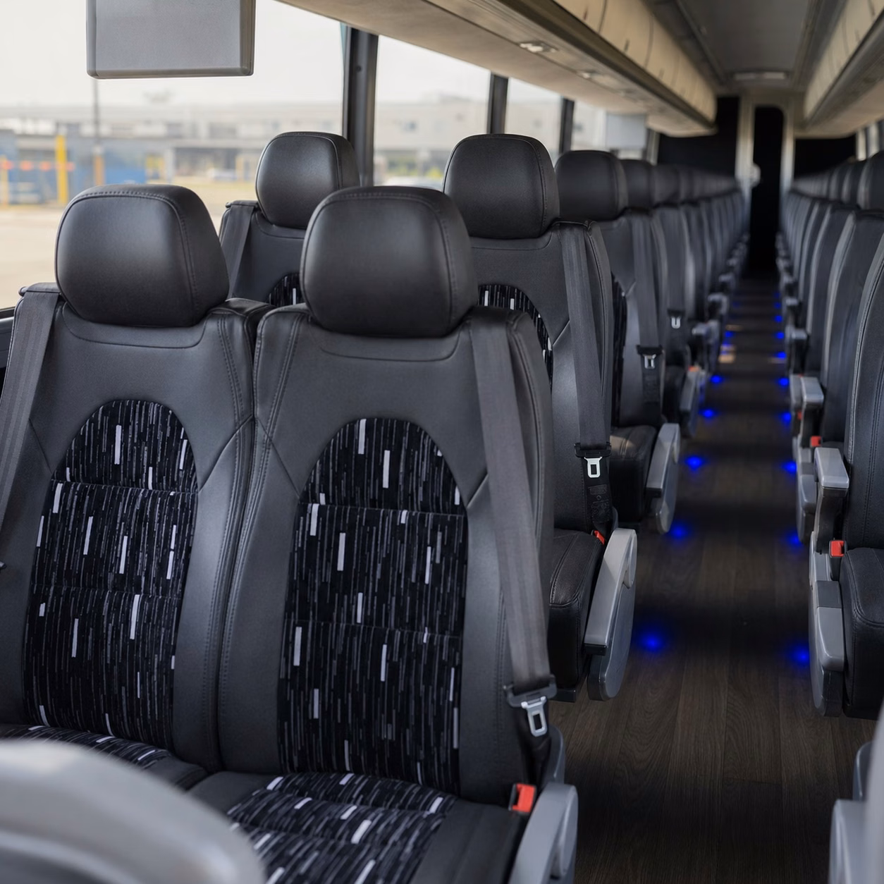 compare buses in minutes not days